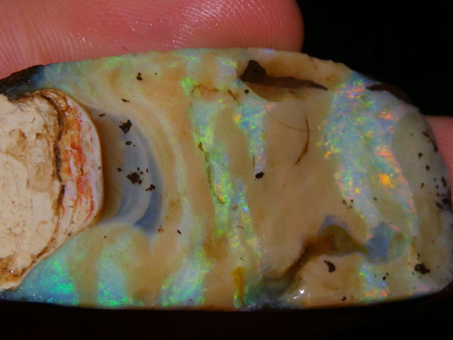 4 Nice Rough/Rubbed Boulder Opals 416cts Queensland Australia Multicolours/Patterns