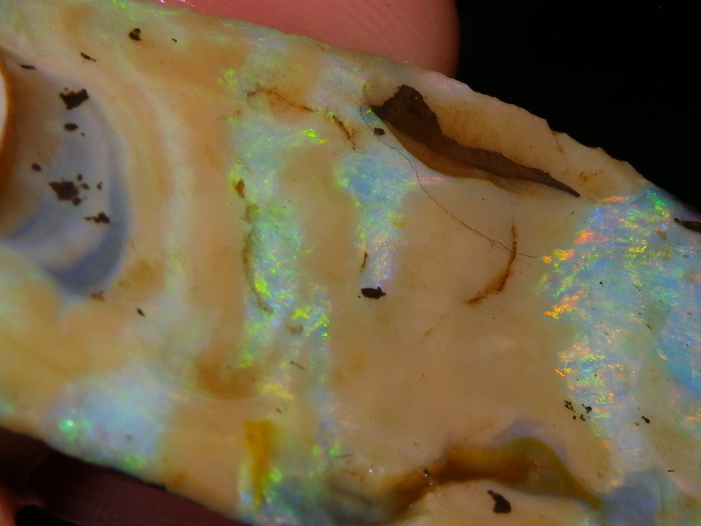4 Nice Rough/Rubbed Boulder Opals 416cts Queensland Australia Multicolours/Patterns