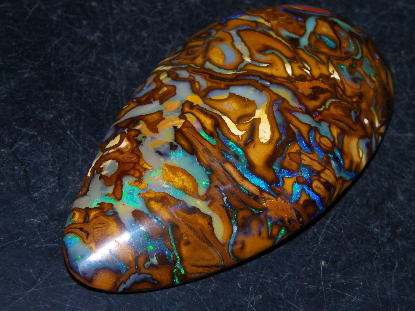 Huge 114.5cts Cut/Polished Koroit Opal Cab Patterns/Fires Queensland Australia