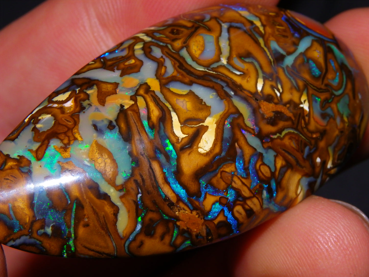Huge 114.5cts Cut/Polished Koroit Opal Cab Patterns/Fires Queensland Australia