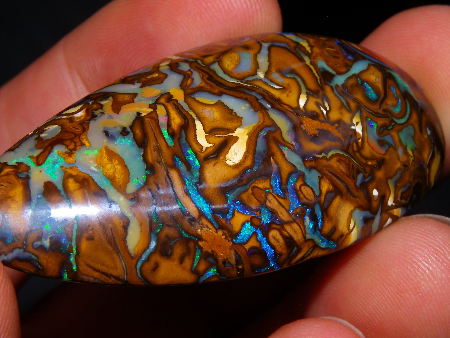 Huge 114.5cts Cut/Polished Koroit Opal Cab Patterns/Fires Queensland Australia