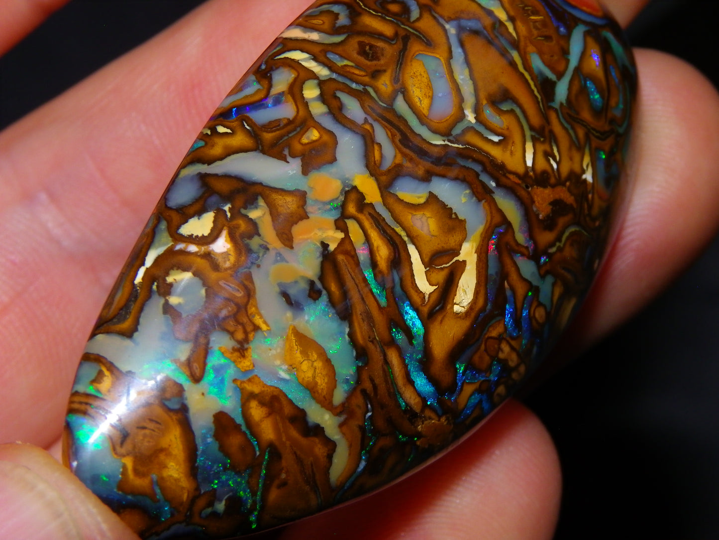 Huge 114.5cts Cut/Polished Koroit Opal Cab Patterns/Fires Queensland Australia