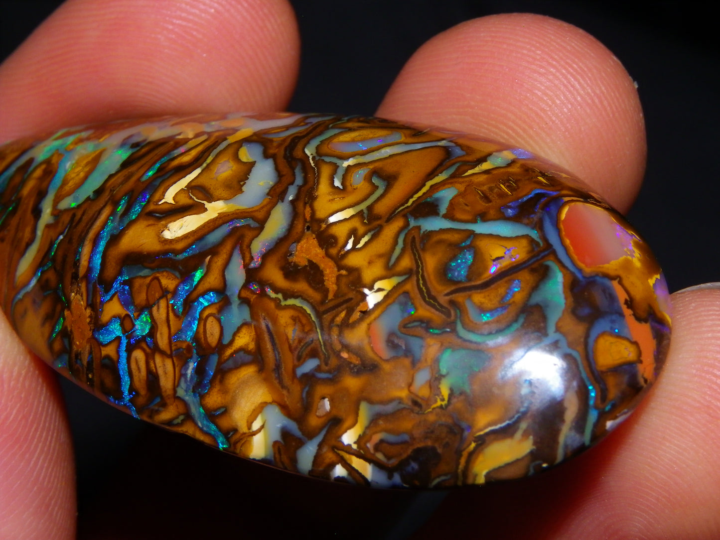 Huge 114.5cts Cut/Polished Koroit Opal Cab Patterns/Fires Queensland Australia