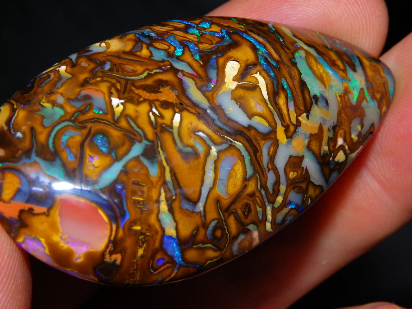 Huge 114.5cts Cut/Polished Koroit Opal Cab Patterns/Fires Queensland Australia