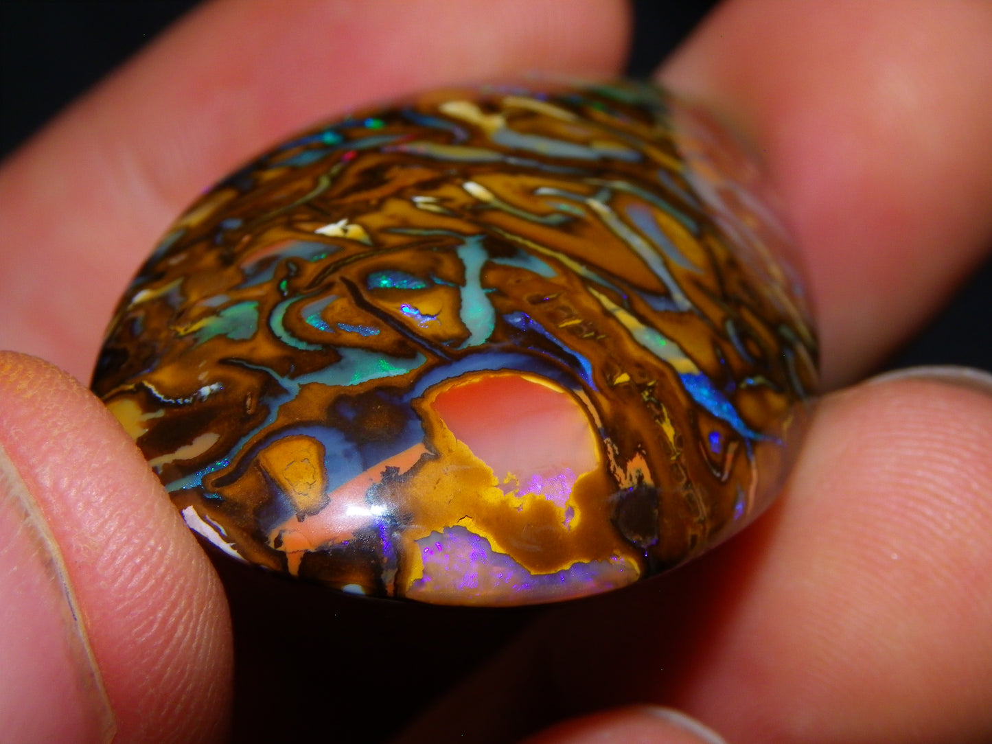 Huge 114.5cts Cut/Polished Koroit Opal Cab Patterns/Fires Queensland Australia