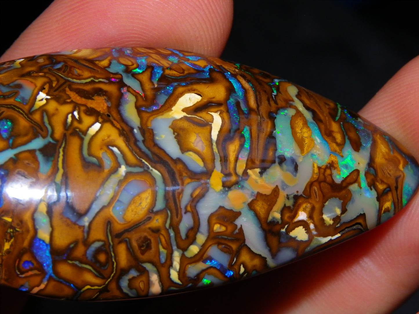 Huge 114.5cts Cut/Polished Koroit Opal Cab Patterns/Fires Queensland Australia