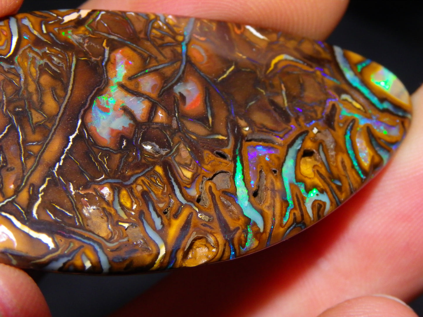 Huge 114.5cts Cut/Polished Koroit Opal Cab Patterns/Fires Queensland Australia
