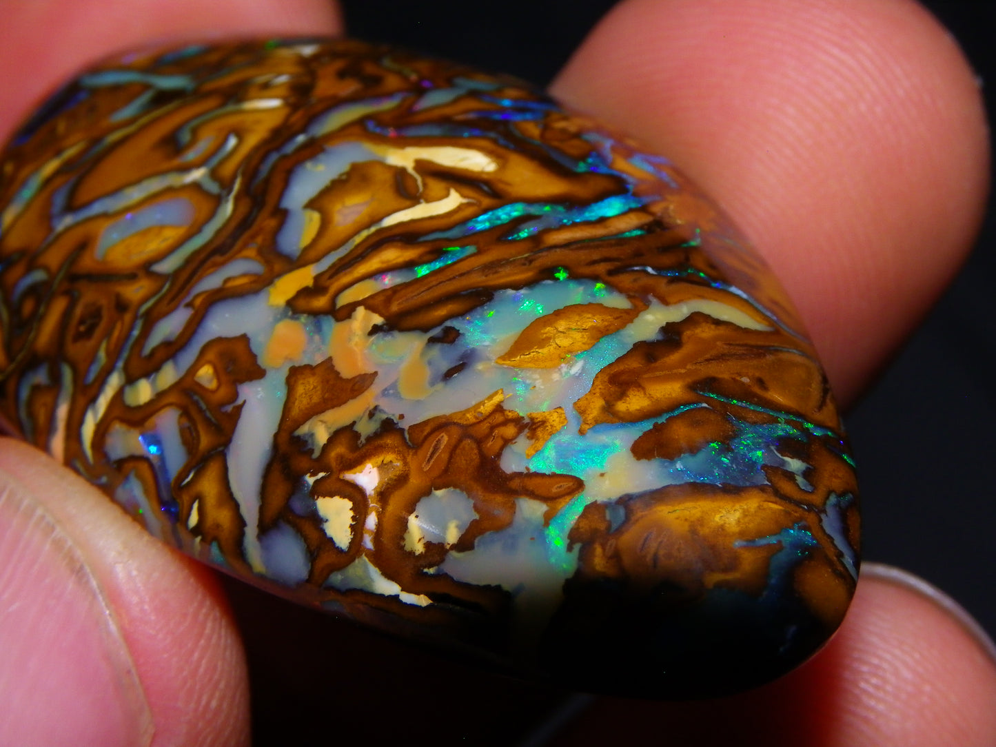 Huge 114.5cts Cut/Polished Koroit Opal Cab Patterns/Fires Queensland Australia