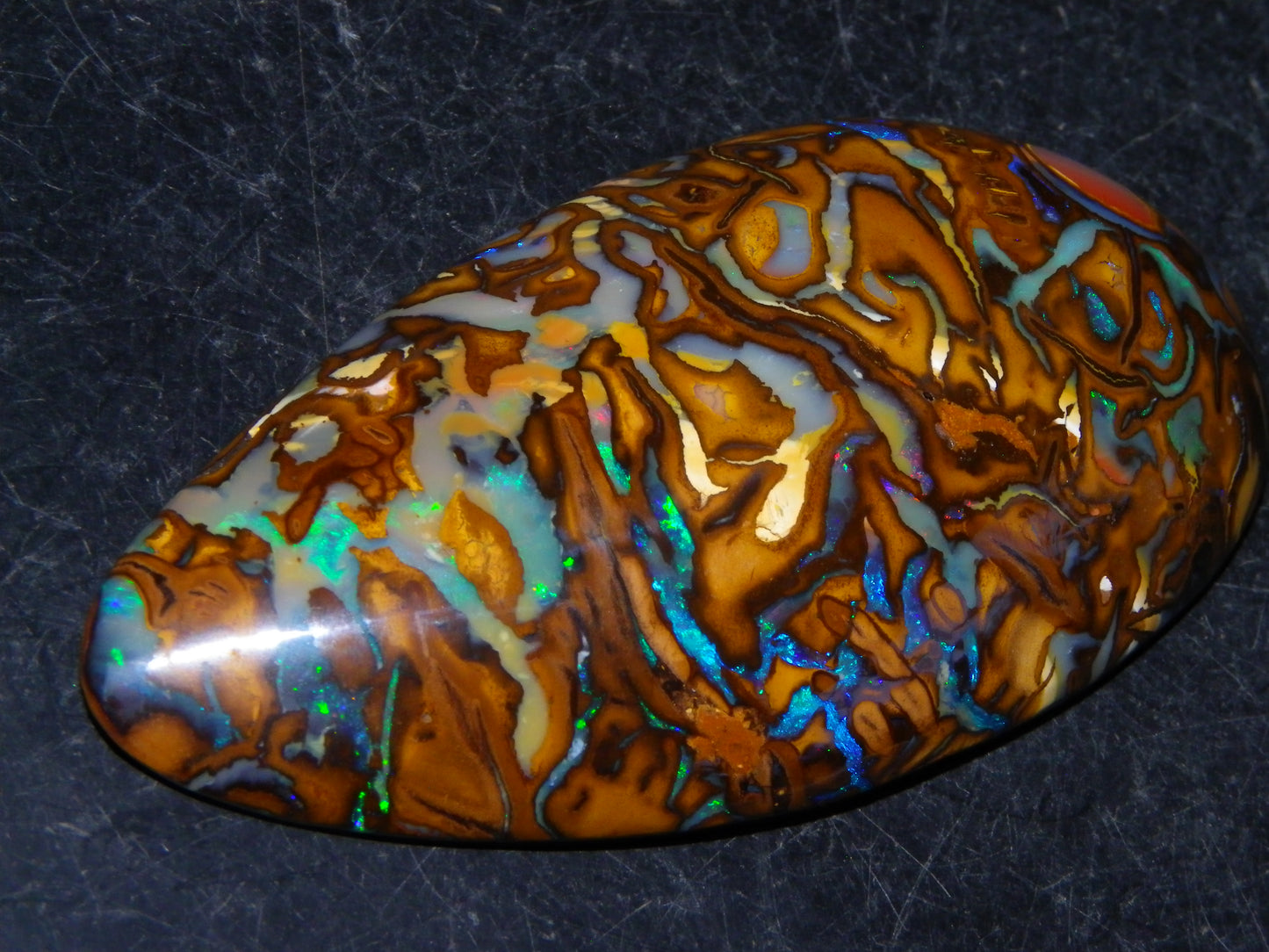Huge 114.5cts Cut/Polished Koroit Opal Cab Patterns/Fires Queensland Australia