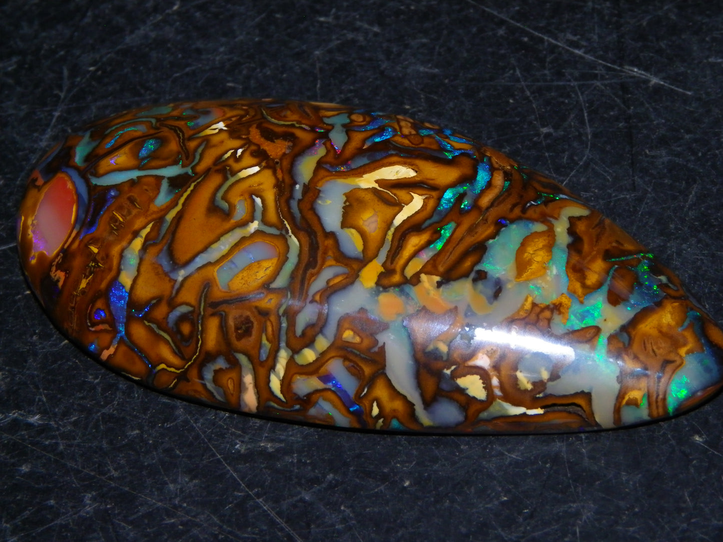 Huge 114.5cts Cut/Polished Koroit Opal Cab Patterns/Fires Queensland Australia