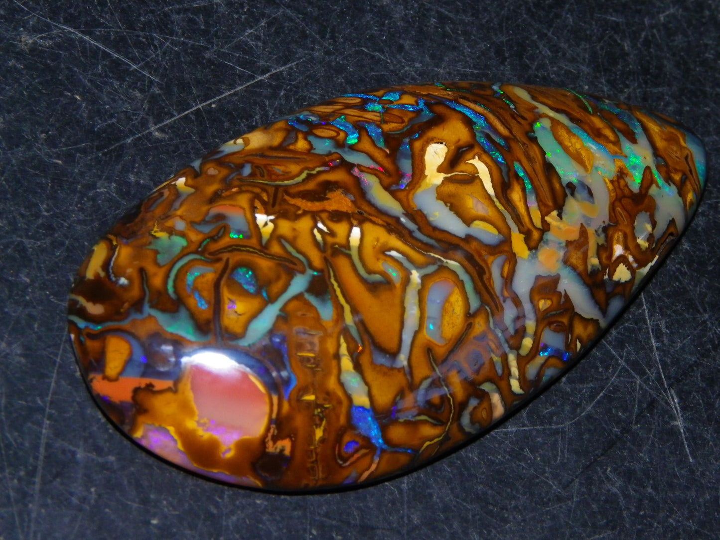 Huge 114.5cts Cut/Polished Koroit Opal Cab Patterns/Fires Queensland Australia