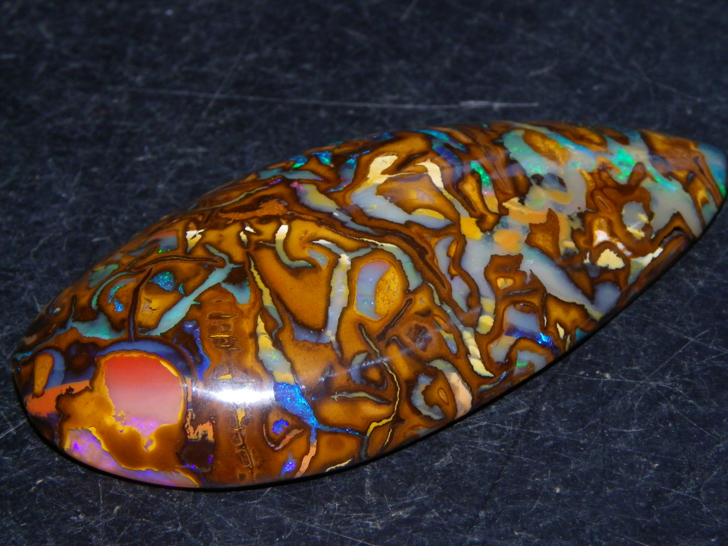 Huge 114.5cts Cut/Polished Koroit Opal Cab Patterns/Fires Queensland Australia