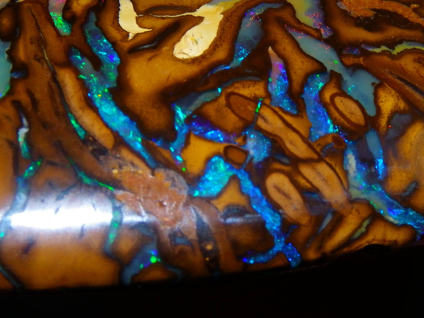 Huge 114.5cts Cut/Polished Koroit Opal Cab Patterns/Fires Queensland Australia