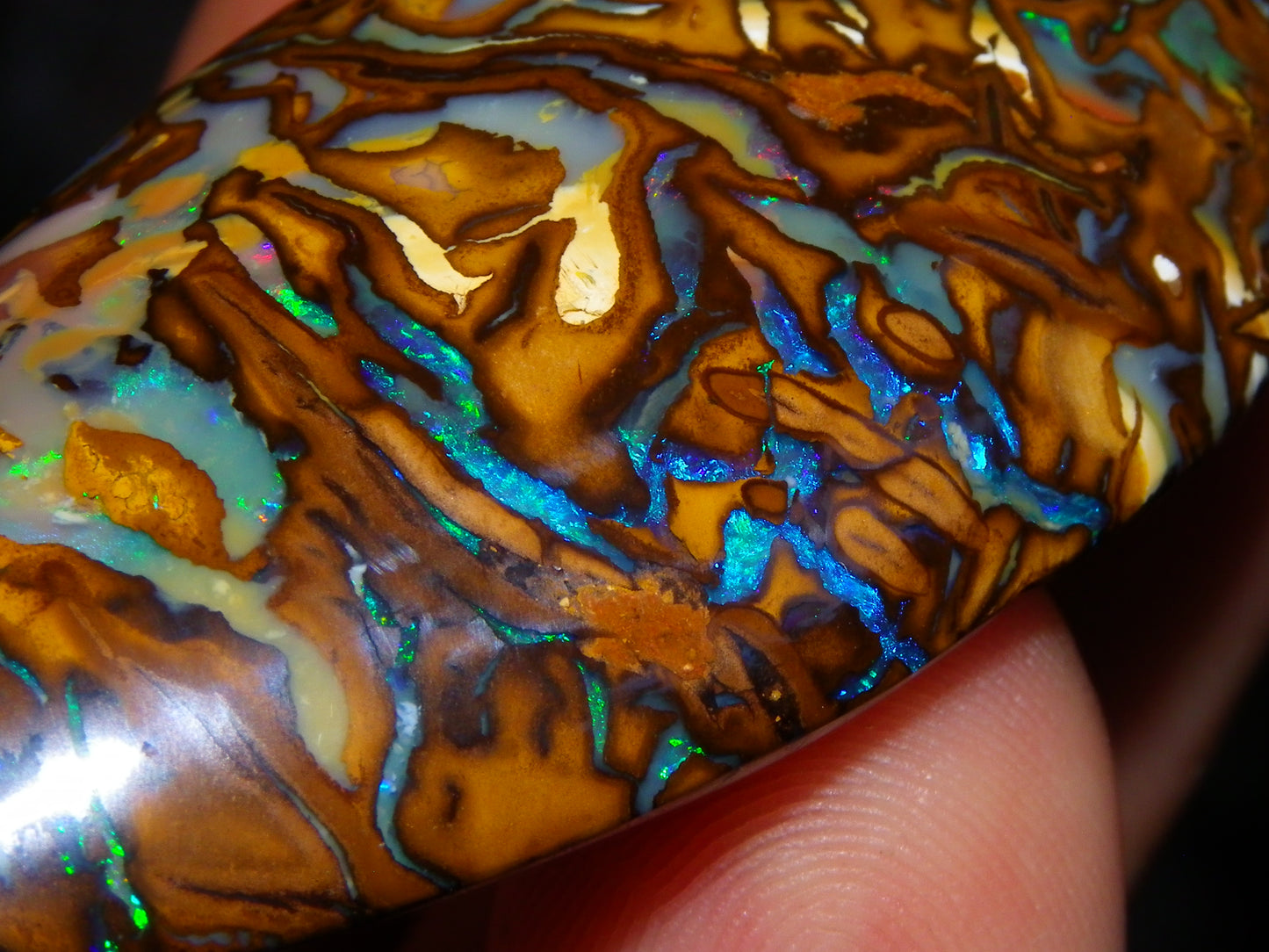 Huge 114.5cts Cut/Polished Koroit Opal Cab Patterns/Fires Queensland Australia