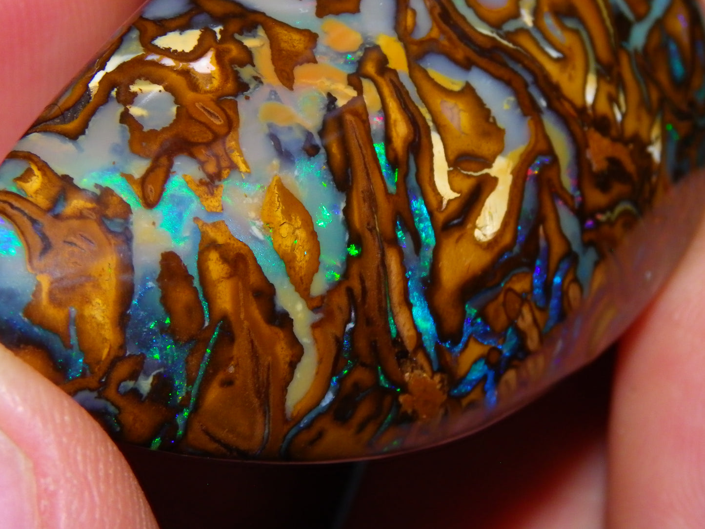 Huge 114.5cts Cut/Polished Koroit Opal Cab Patterns/Fires Queensland Australia