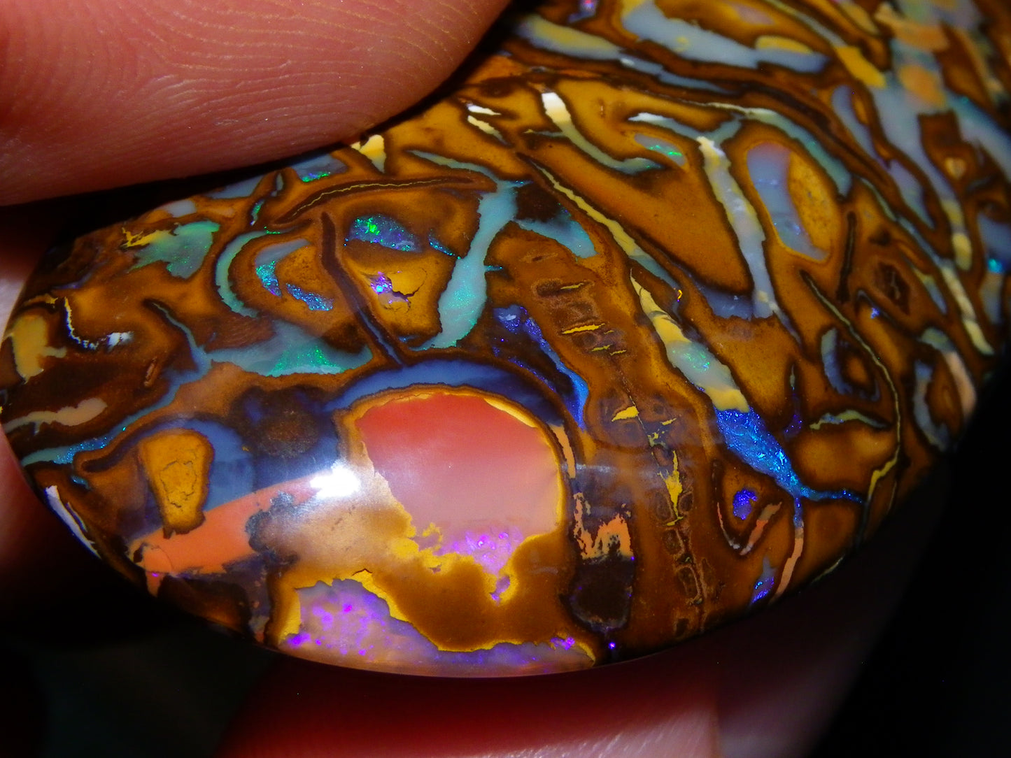 Huge 114.5cts Cut/Polished Koroit Opal Cab Patterns/Fires Queensland Australia