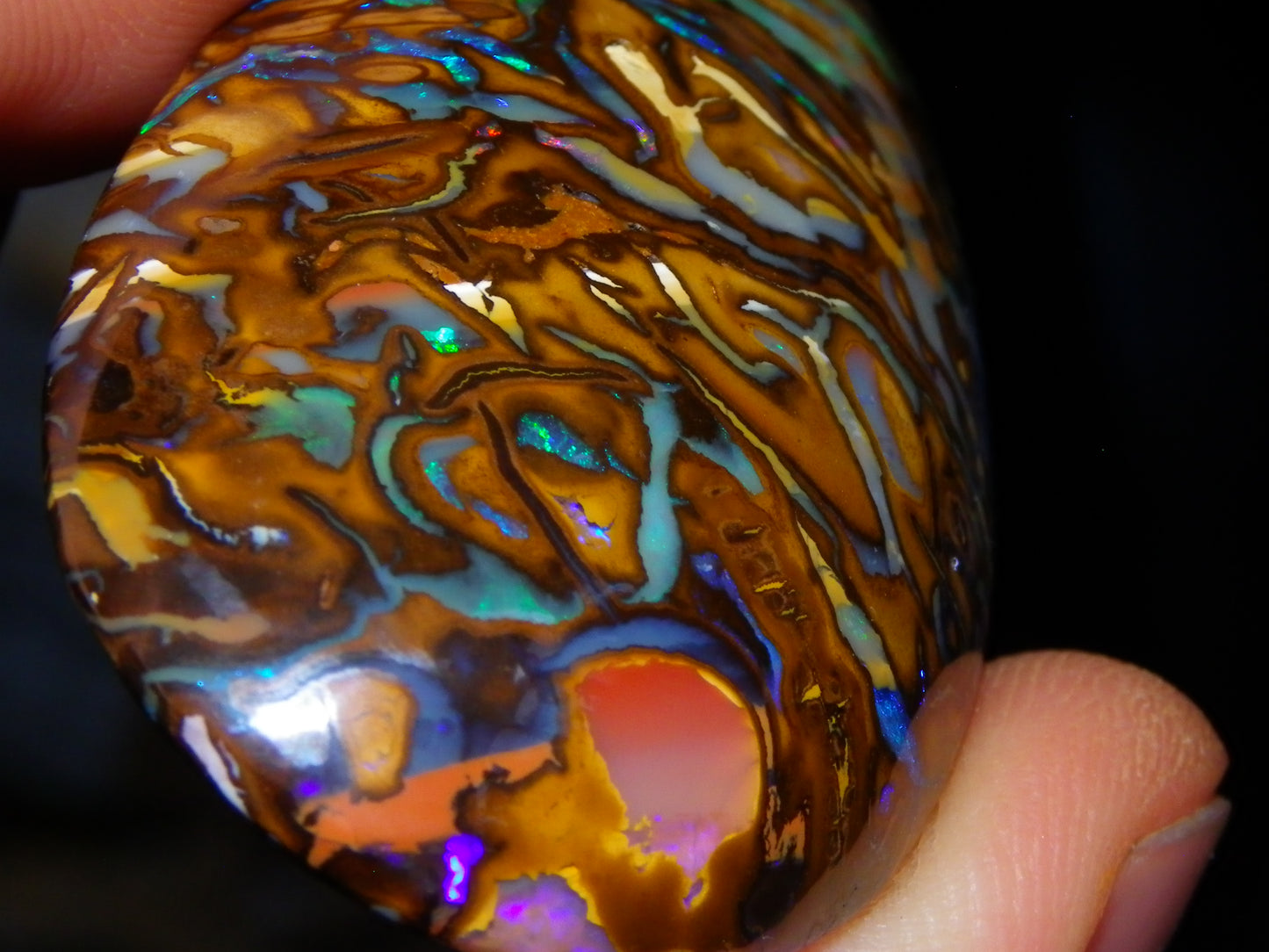 Huge 114.5cts Cut/Polished Koroit Opal Cab Patterns/Fires Queensland Australia