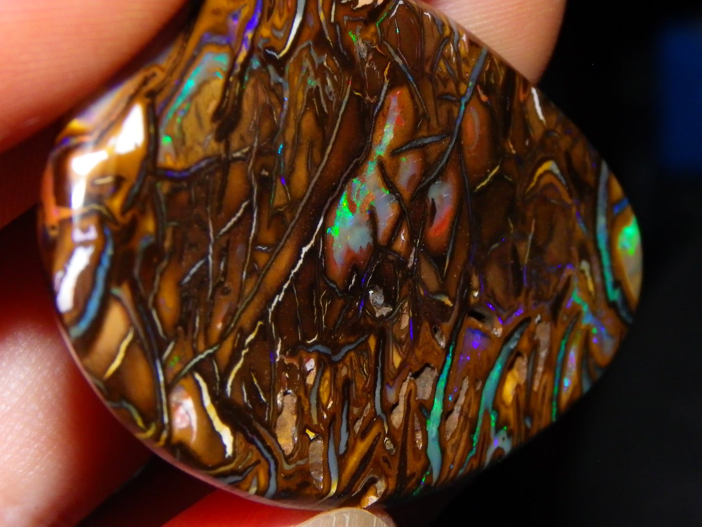 Huge 114.5cts Cut/Polished Koroit Opal Cab Patterns/Fires Queensland Australia