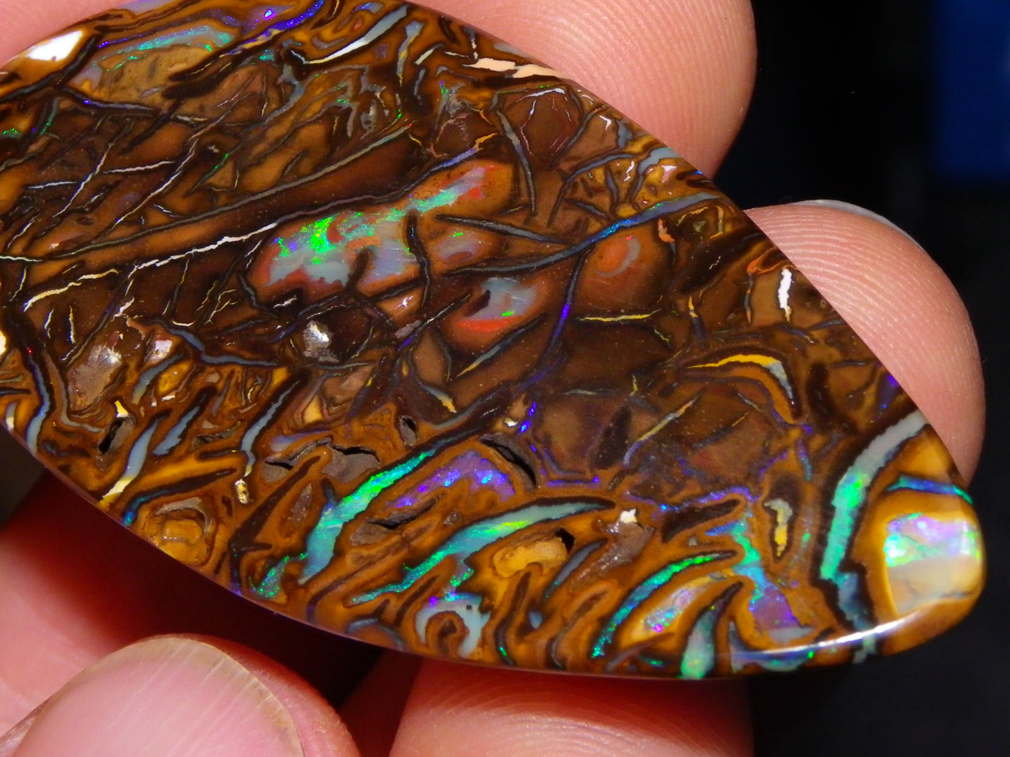 Huge 114.5cts Cut/Polished Koroit Opal Cab Patterns/Fires Queensland Australia