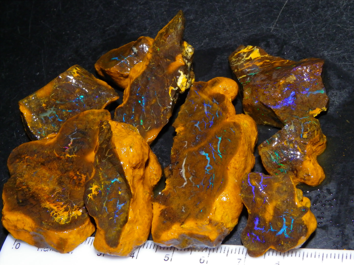 Nice Rough Matrix Opal Parcel 769cts Opalton Queensland Blue/Green Veins Ironstone base