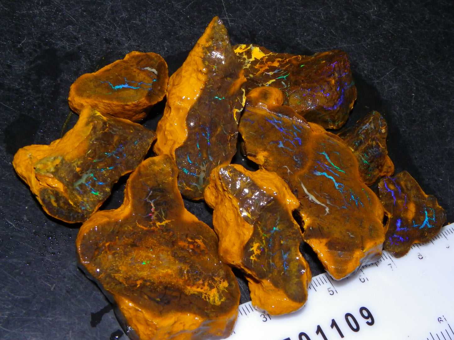 Nice Rough Matrix Opal Parcel 769cts Opalton Queensland Blue/Green Veins Ironstone base