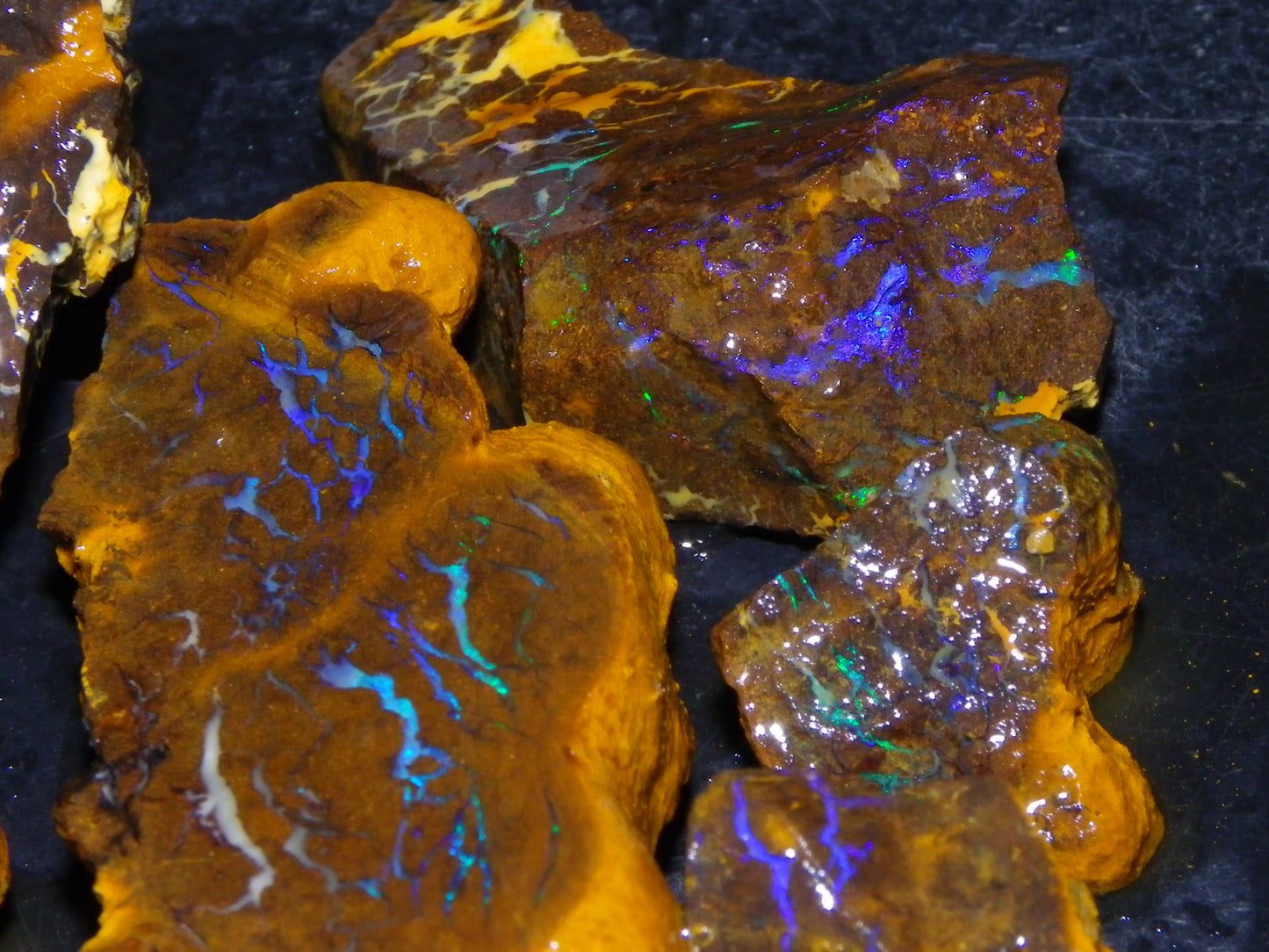 Nice Rough Matrix Opal Parcel 769cts Opalton Queensland Blue/Green Veins Ironstone base
