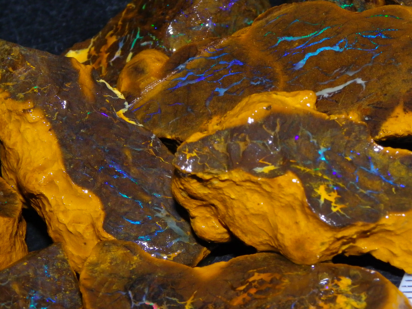 Nice Rough Matrix Opal Parcel 769cts Opalton Queensland Blue/Green Veins Ironstone base