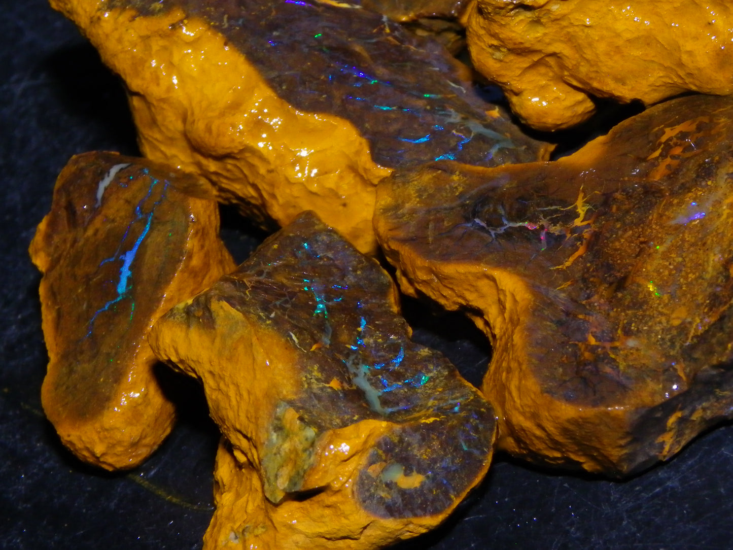 Nice Rough Matrix Opal Parcel 769cts Opalton Queensland Blue/Green Veins Ironstone base