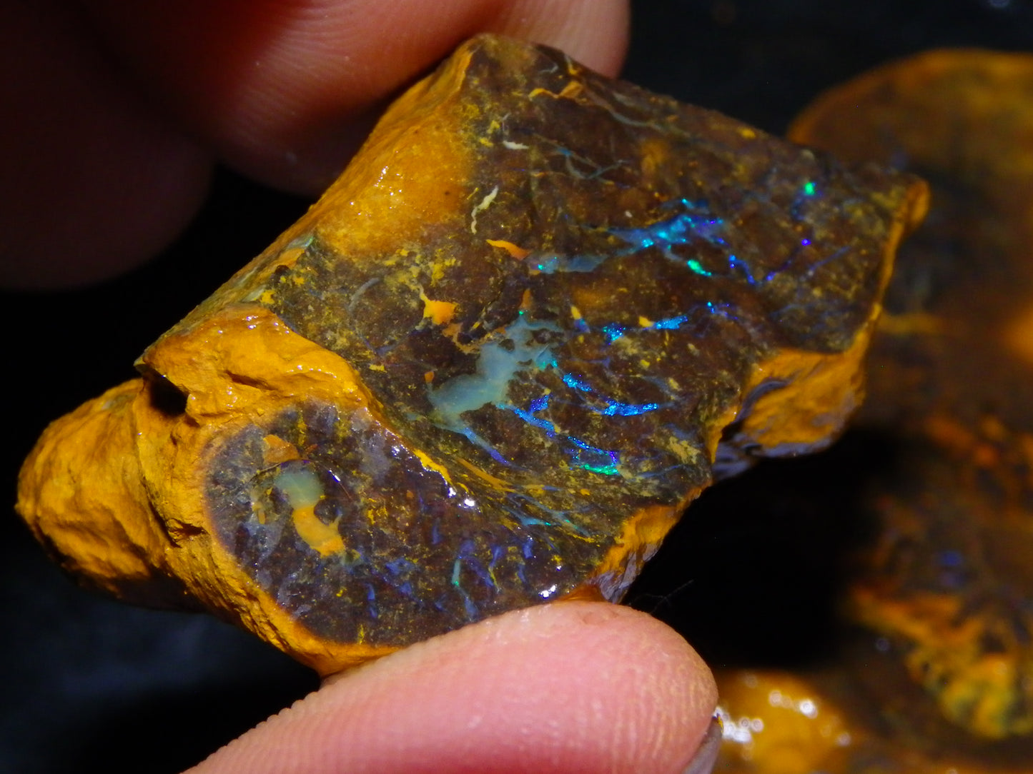 Nice Rough Matrix Opal Parcel 769cts Opalton Queensland Blue/Green Veins Ironstone base