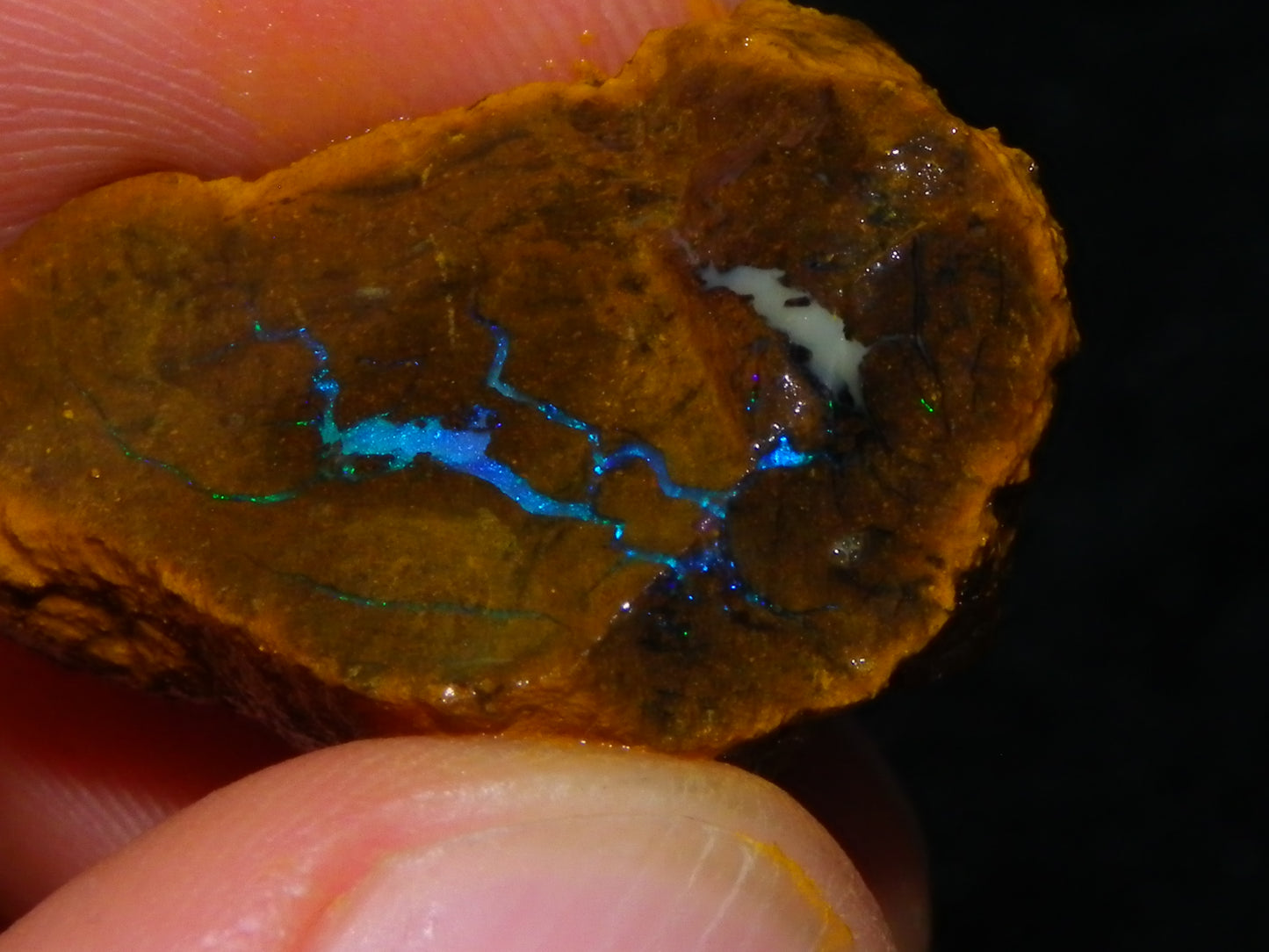 Nice Rough Matrix Opal Parcel 769cts Opalton Queensland Blue/Green Veins Ironstone base