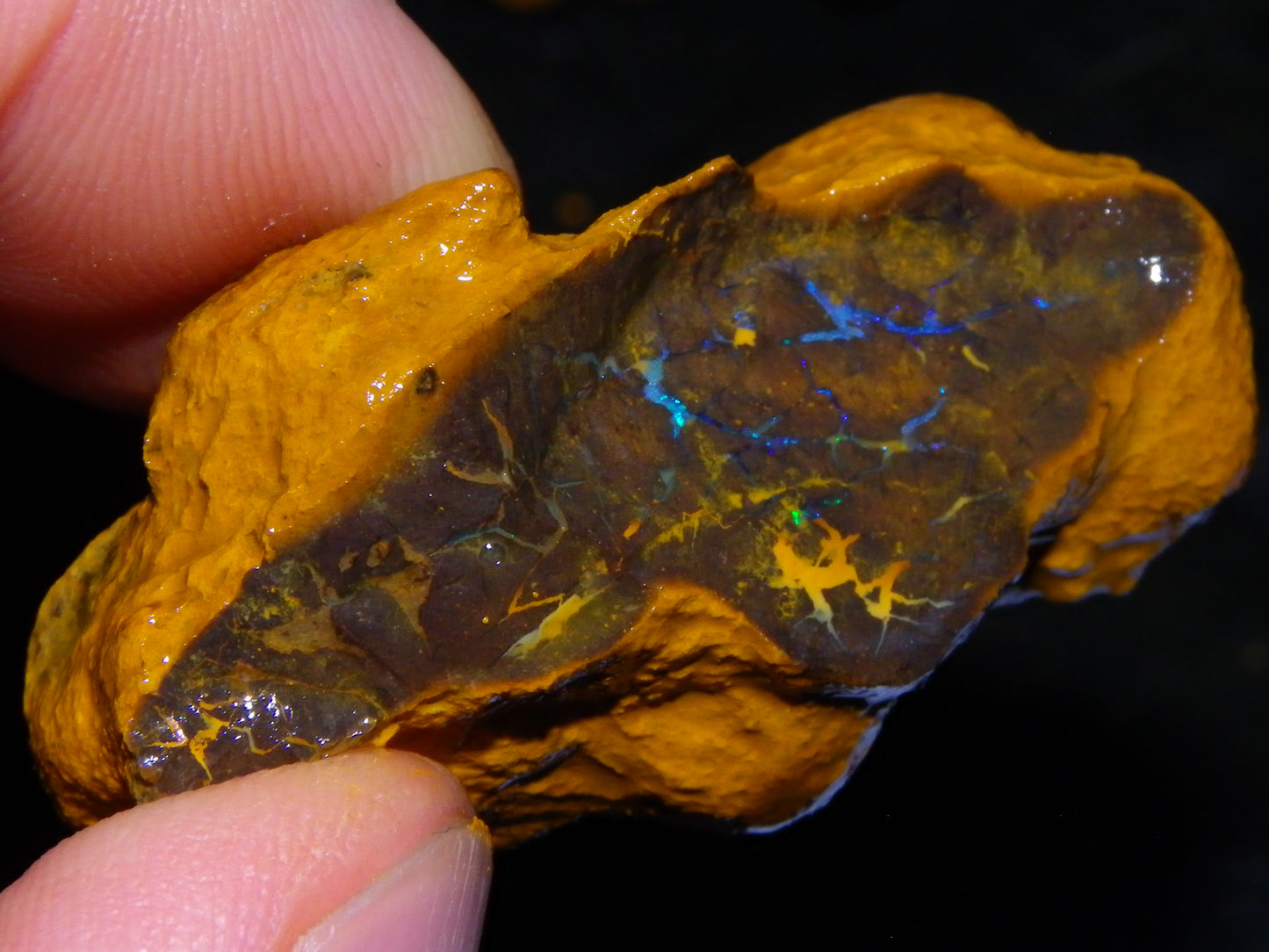 Nice Rough Matrix Opal Parcel 769cts Opalton Queensland Blue/Green Veins Ironstone base
