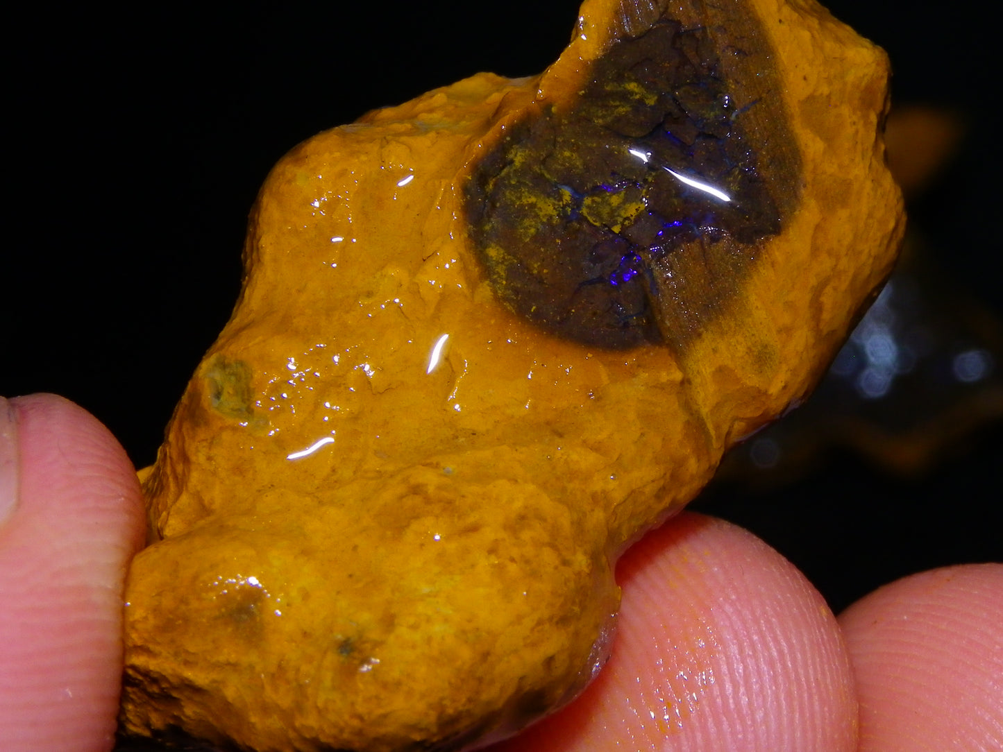 Nice Rough Matrix Opal Parcel 769cts Opalton Queensland Blue/Green Veins Ironstone base