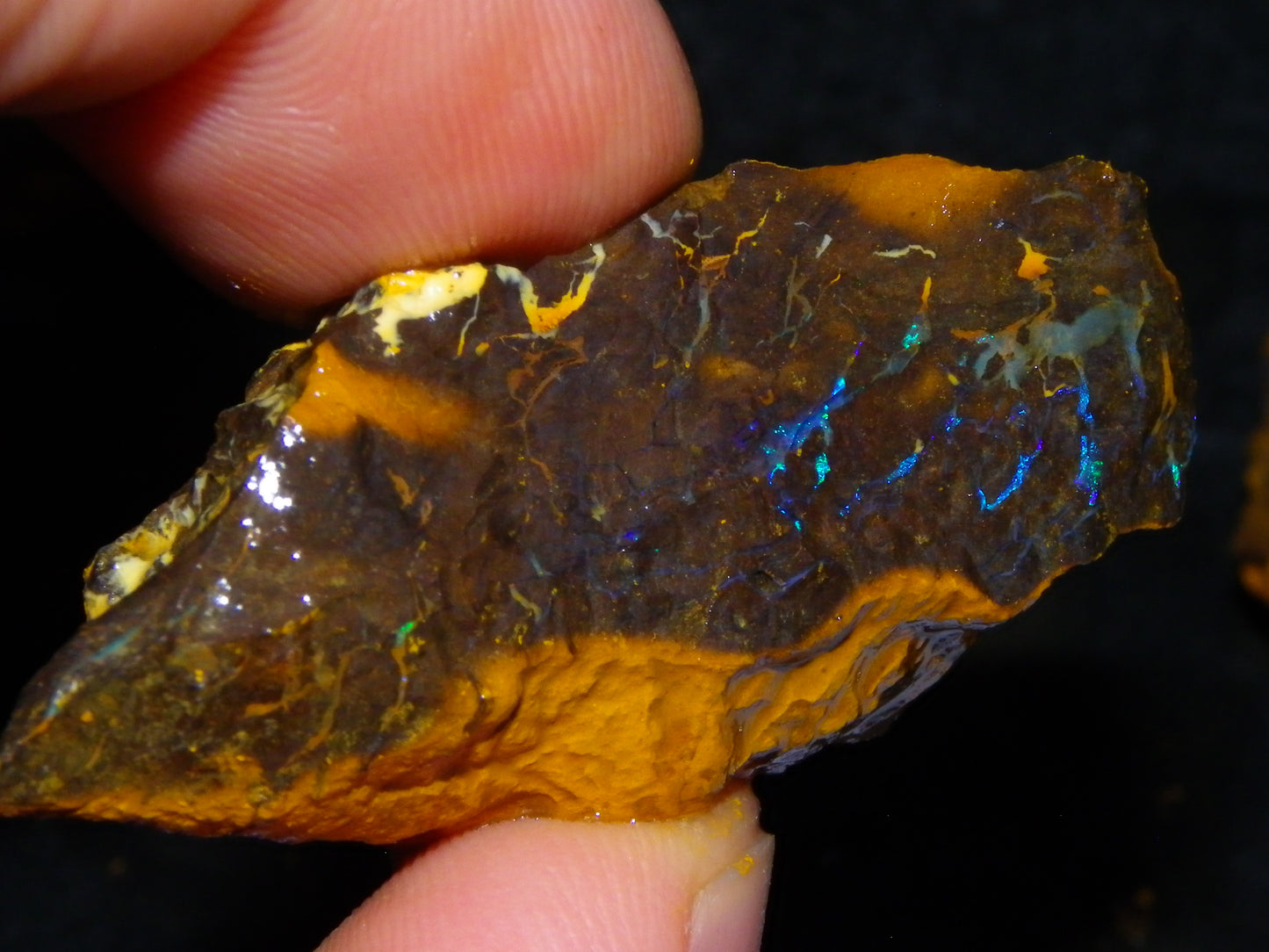 Nice Rough Matrix Opal Parcel 769cts Opalton Queensland Blue/Green Veins Ironstone base