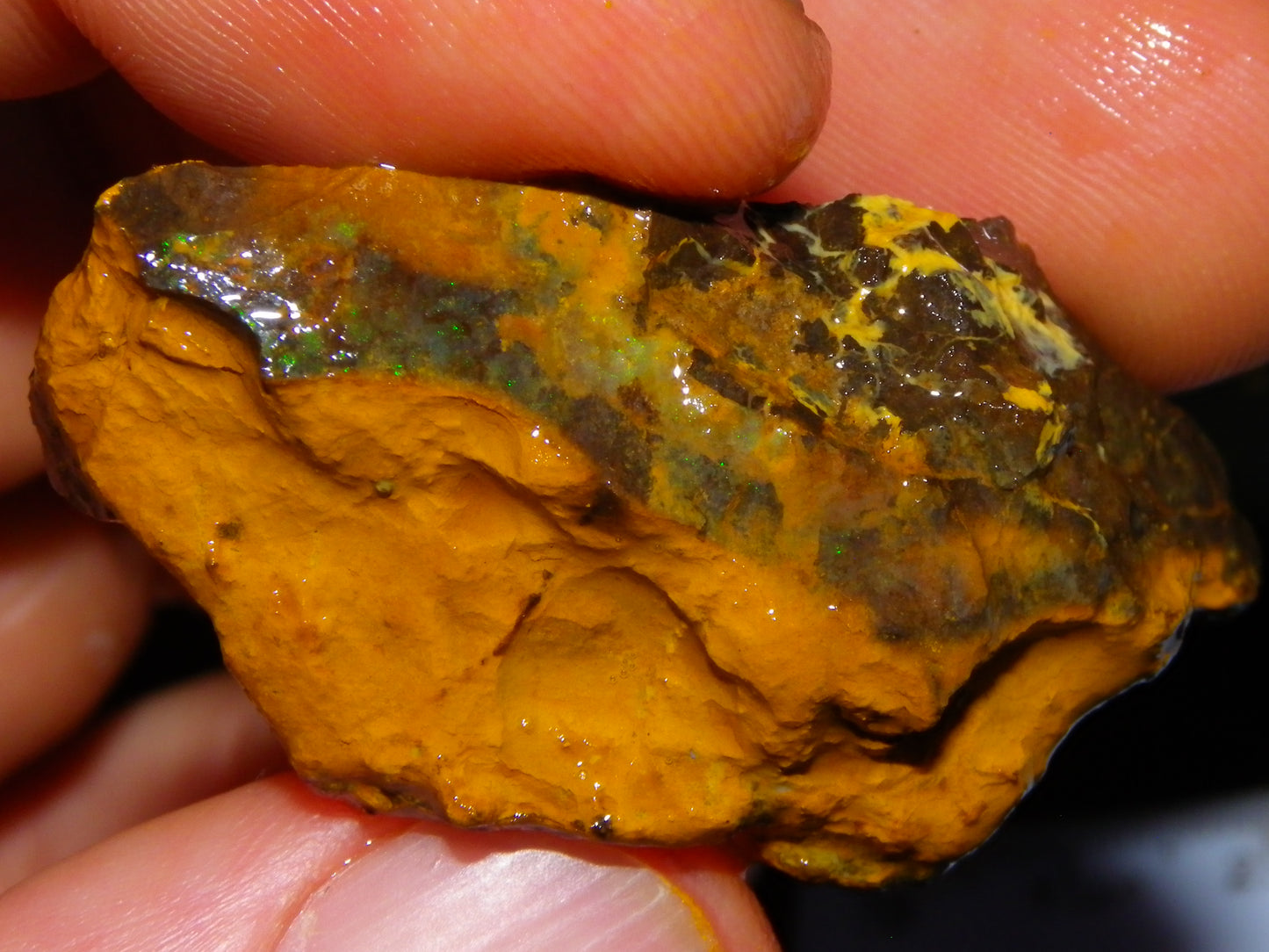 Nice Rough Matrix Opal Parcel 769cts Opalton Queensland Blue/Green Veins Ironstone base