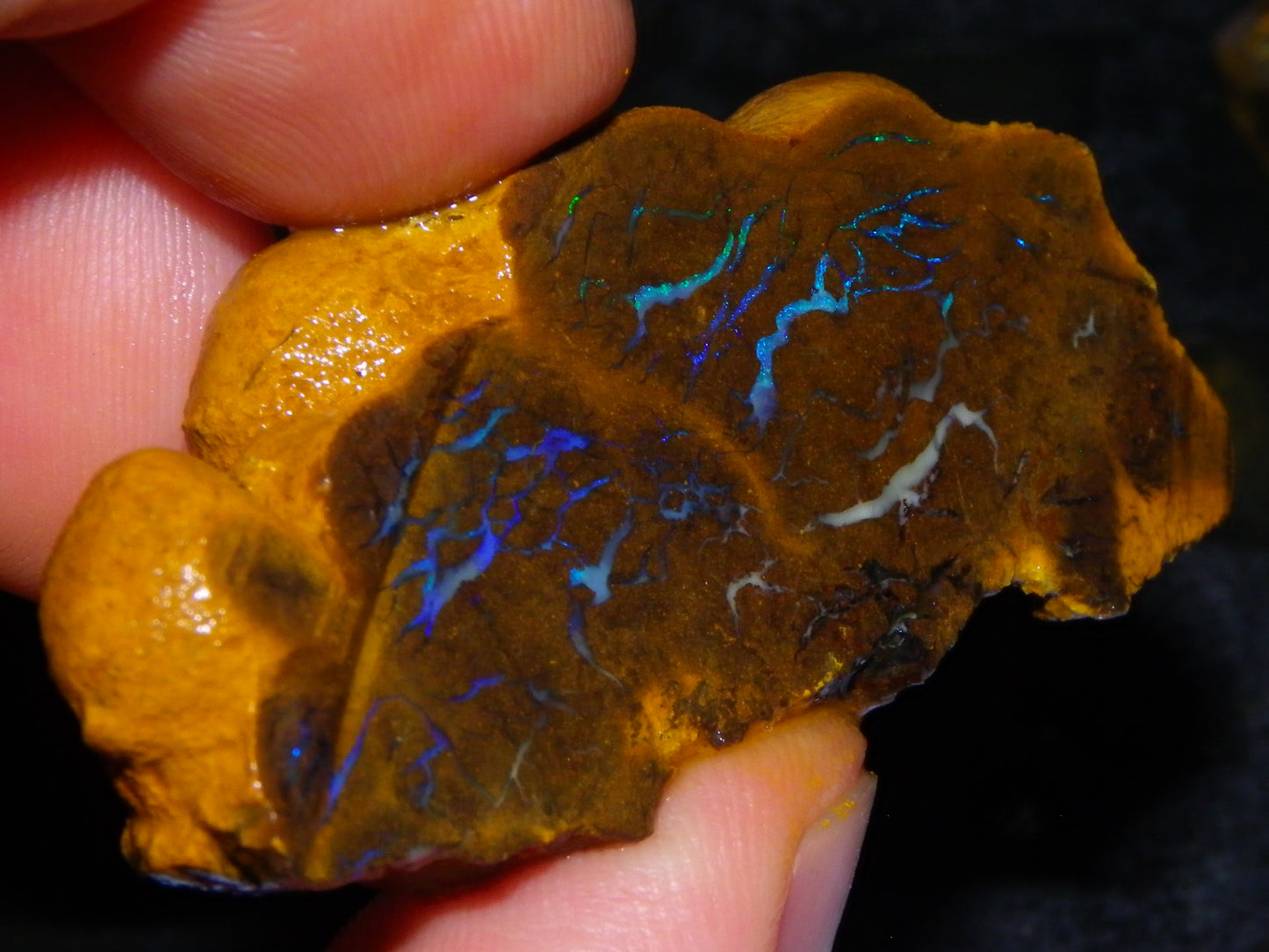 Nice Rough Matrix Opal Parcel 769cts Opalton Queensland Blue/Green Veins Ironstone base