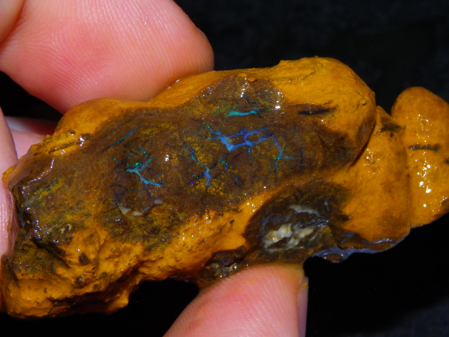 Nice Rough Matrix Opal Parcel 769cts Opalton Queensland Blue/Green Veins Ironstone base