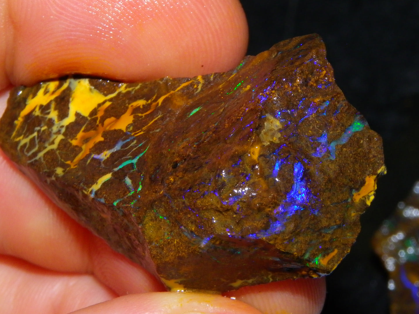 Nice Rough Matrix Opal Parcel 769cts Opalton Queensland Blue/Green Veins Ironstone base