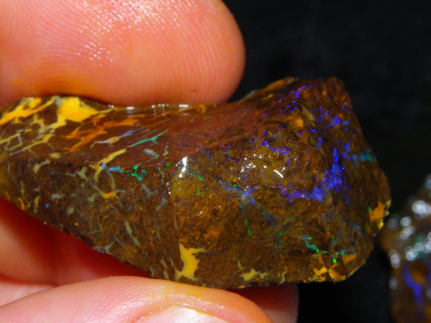 Nice Rough Matrix Opal Parcel 769cts Opalton Queensland Blue/Green Veins Ironstone base