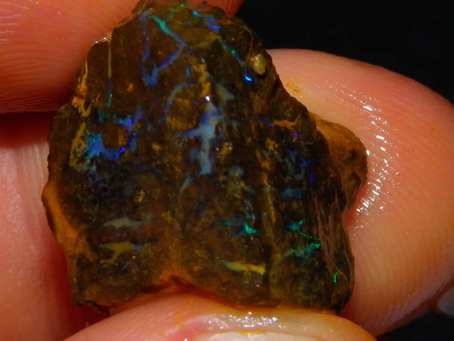 Nice Rough Matrix Opal Parcel 769cts Opalton Queensland Blue/Green Veins Ironstone base