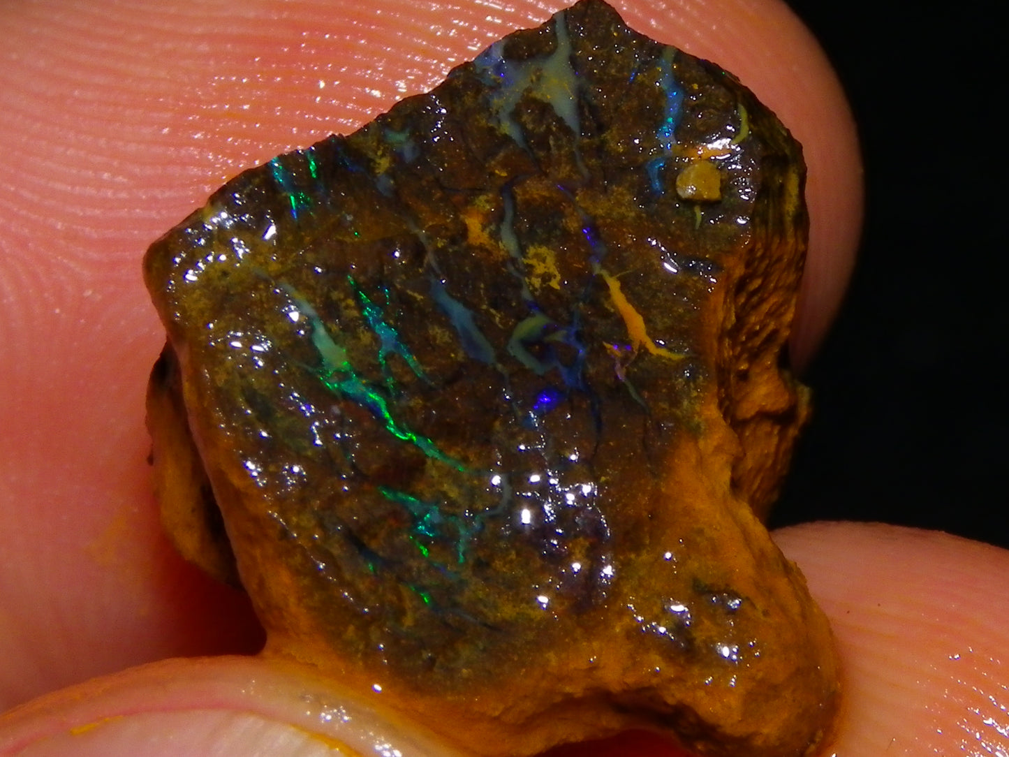 Nice Rough Matrix Opal Parcel 769cts Opalton Queensland Blue/Green Veins Ironstone base