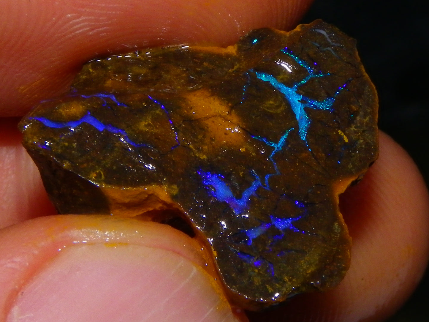 Nice Rough Matrix Opal Parcel 769cts Opalton Queensland Blue/Green Veins Ironstone base