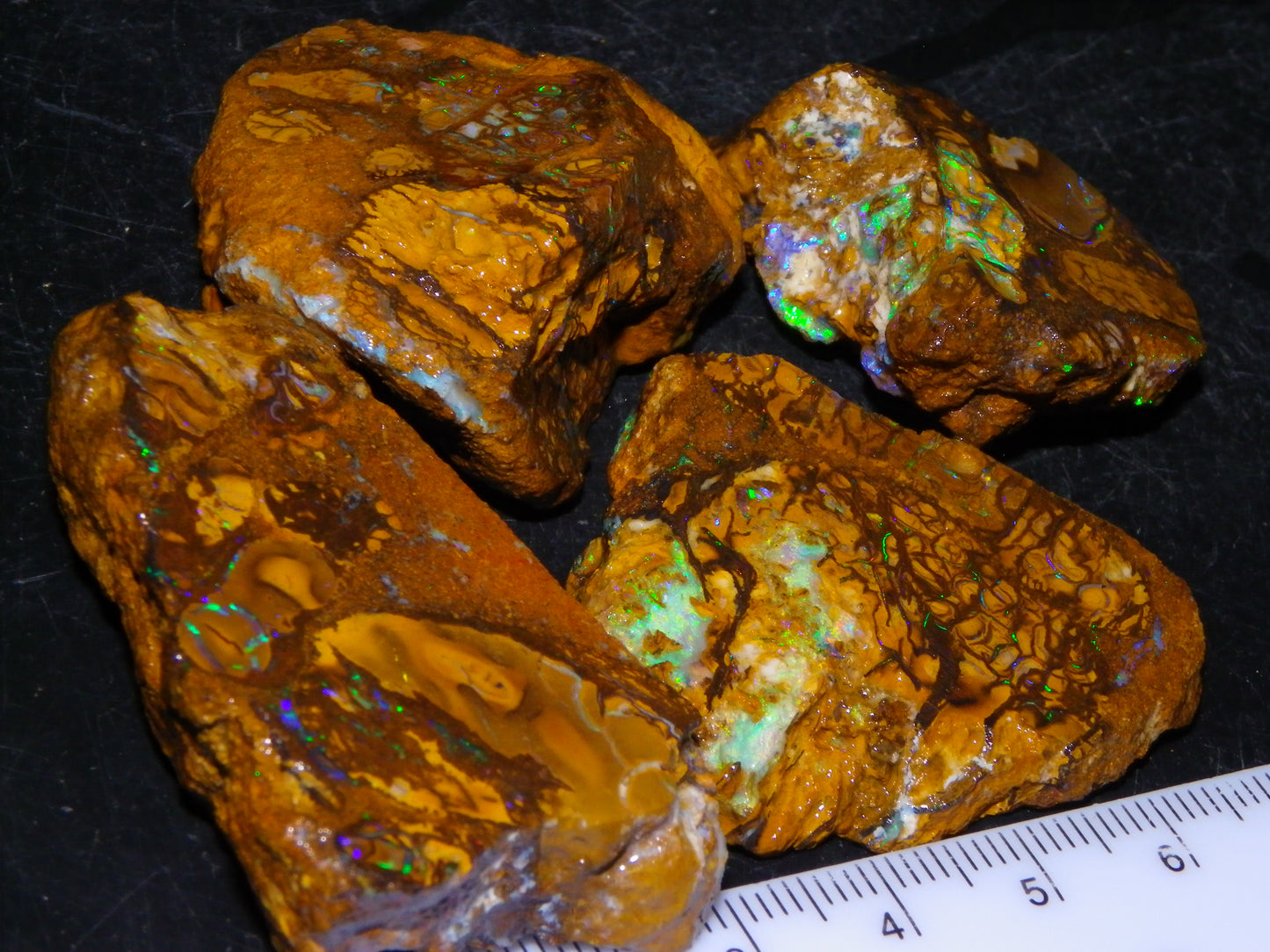 4 Nice Rough/sliced Koroit Opals 429cts Queensland Australia Blue/Green Fires/Patterns