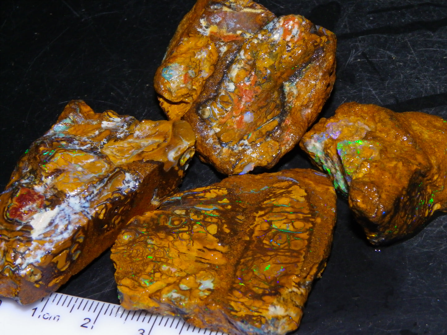 4 Nice Rough/sliced Koroit Opals 429cts Queensland Australia Blue/Green Fires/Patterns