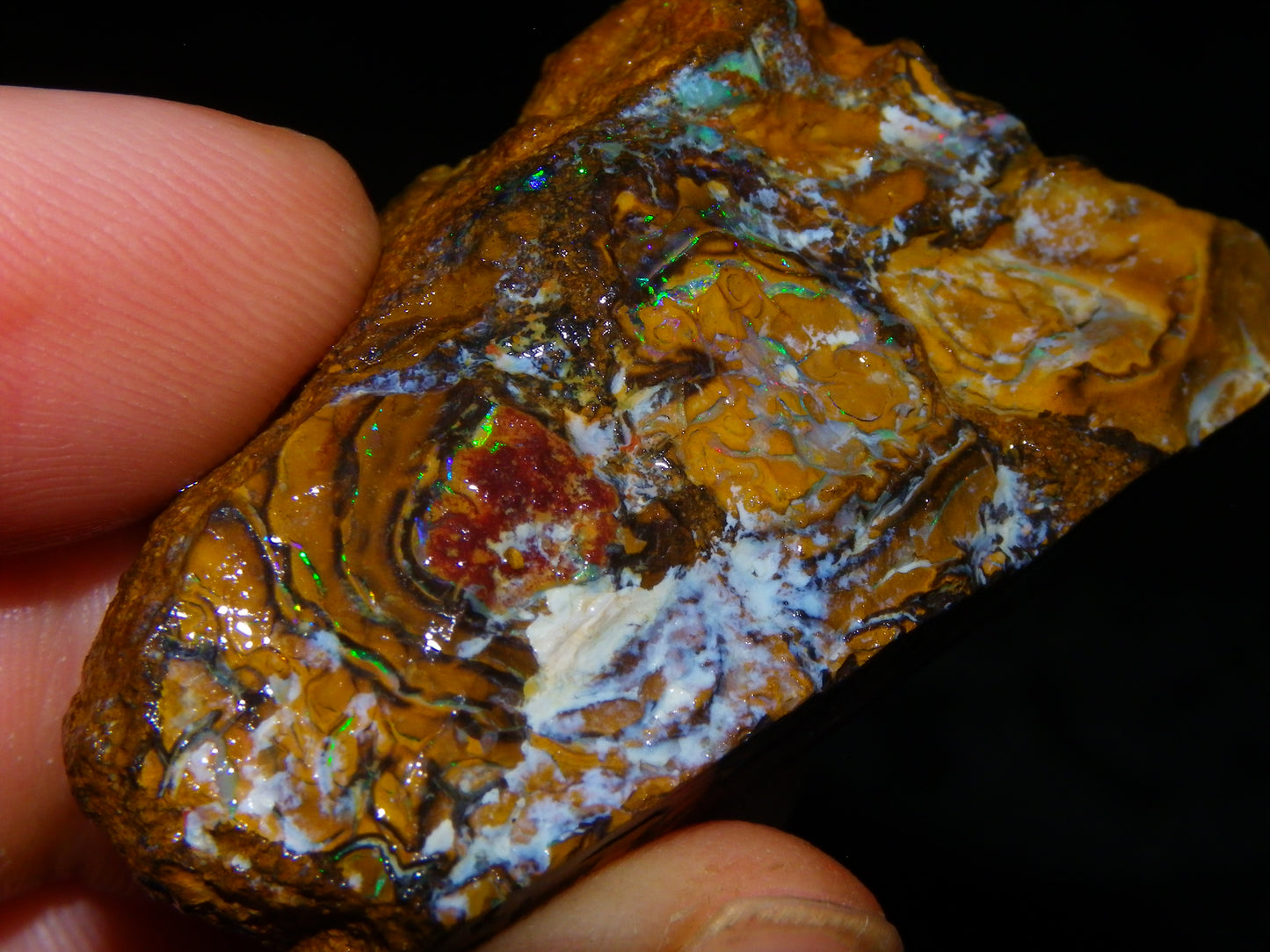 4 Nice Rough/sliced Koroit Opals 429cts Queensland Australia Blue/Green Fires/Patterns