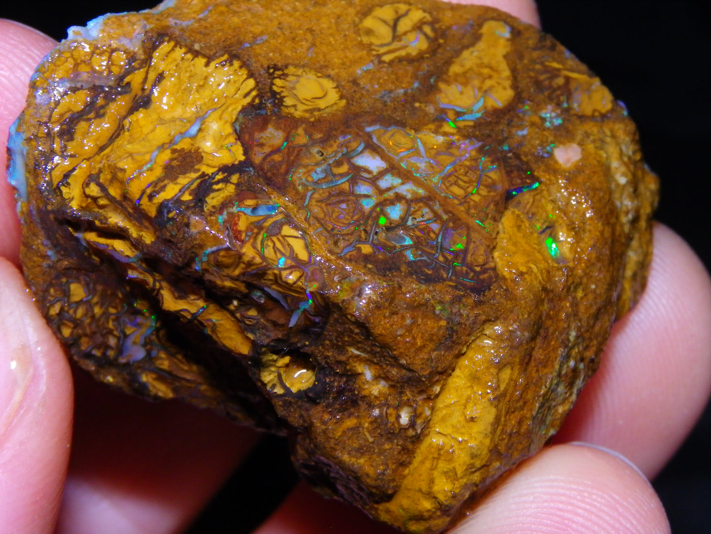 4 Nice Rough/sliced Koroit Opals 429cts Queensland Australia Blue/Green Fires/Patterns