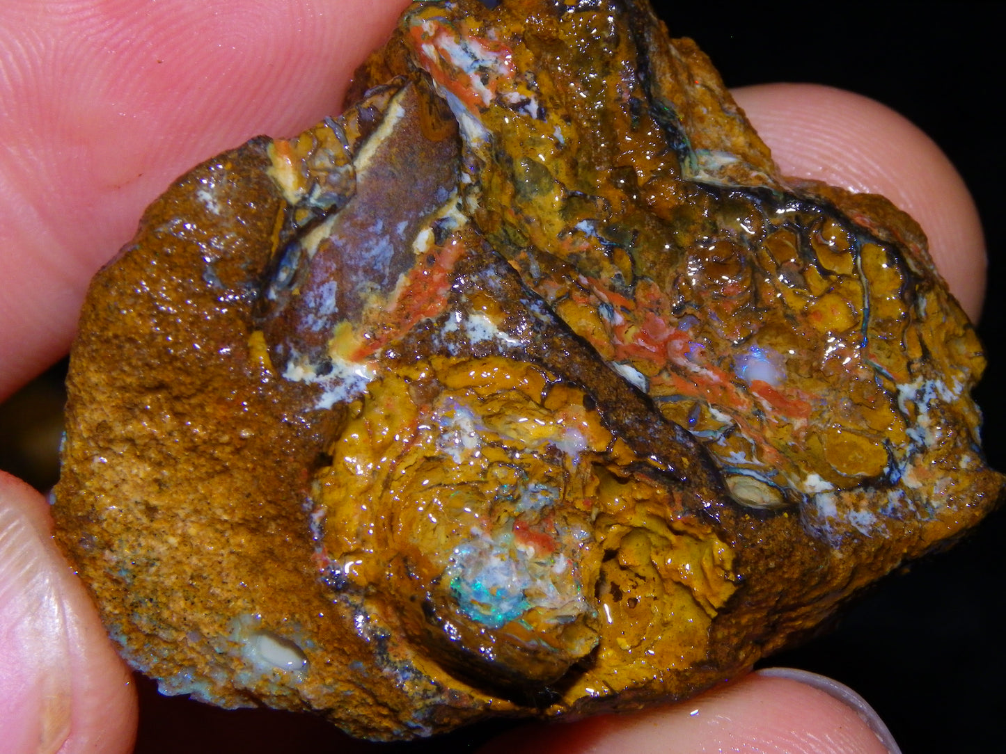 4 Nice Rough/sliced Koroit Opals 429cts Queensland Australia Blue/Green Fires/Patterns