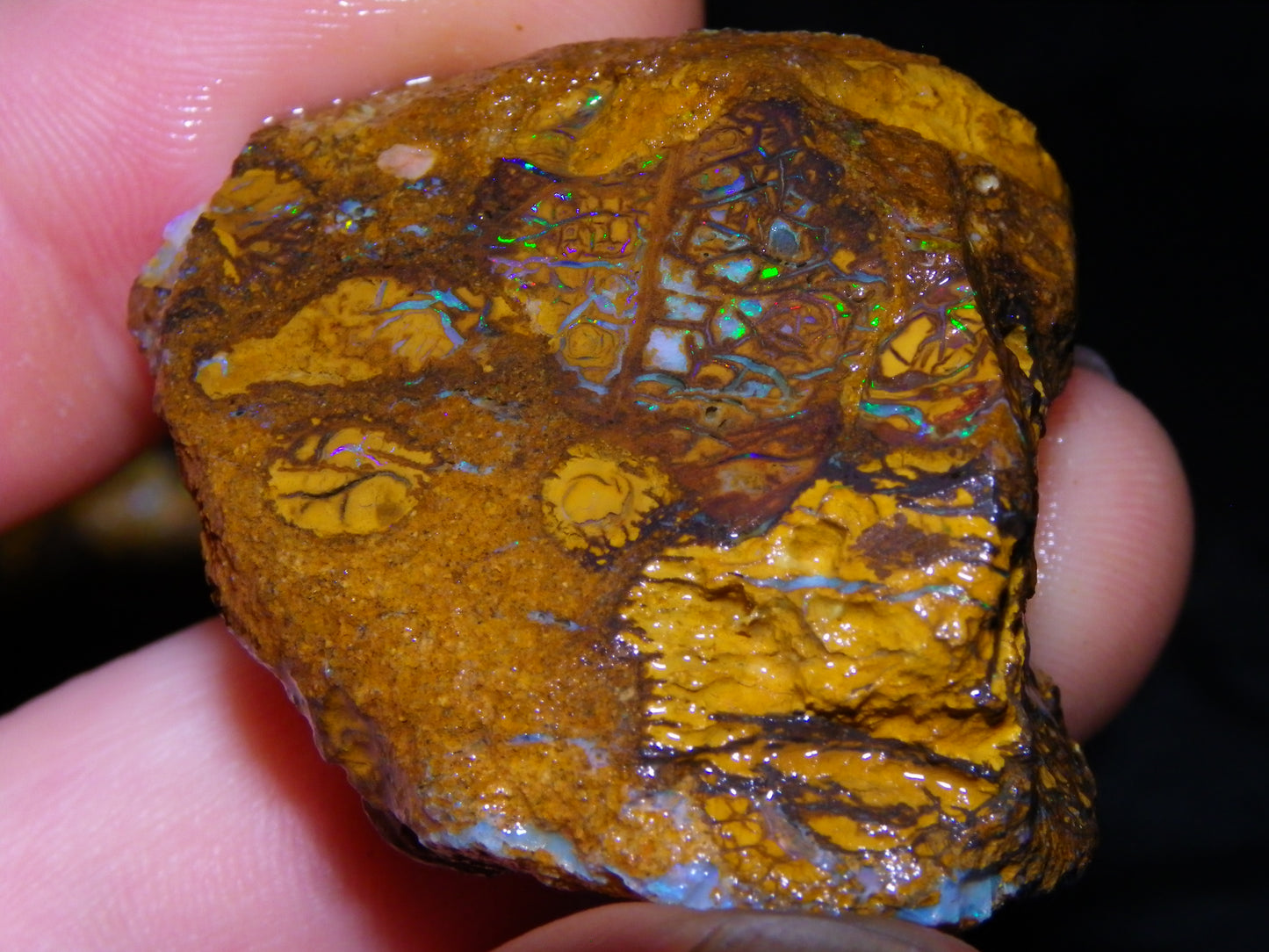 4 Nice Rough/sliced Koroit Opals 429cts Queensland Australia Blue/Green Fires/Patterns