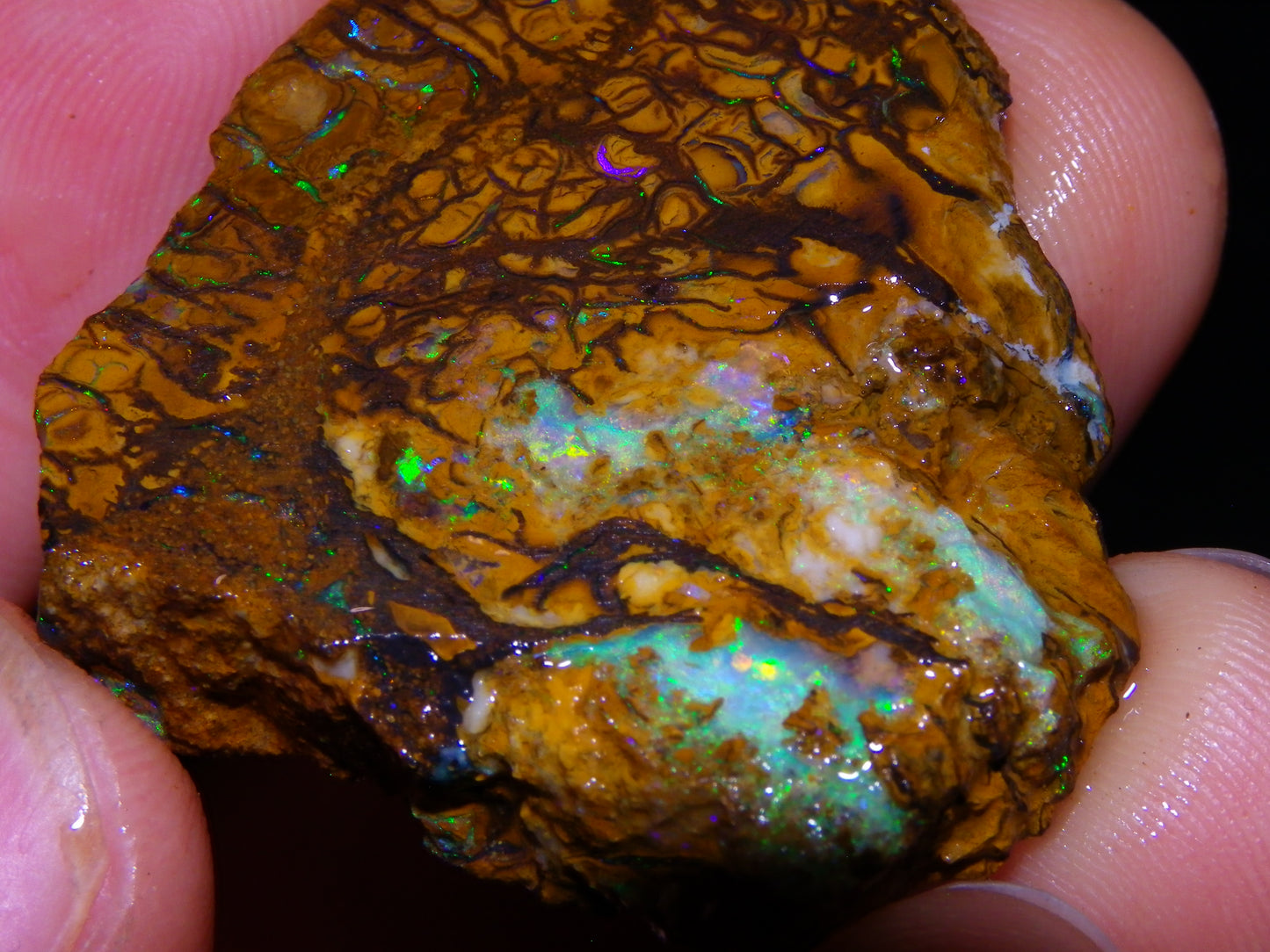 4 Nice Rough/sliced Koroit Opals 429cts Queensland Australia Blue/Green Fires/Patterns