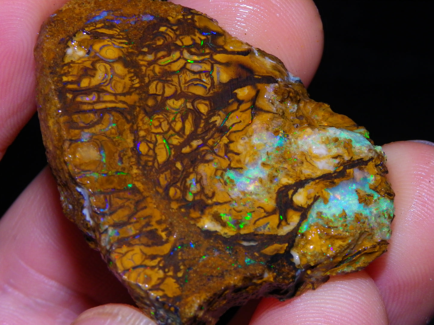 4 Nice Rough/sliced Koroit Opals 429cts Queensland Australia Blue/Green Fires/Patterns