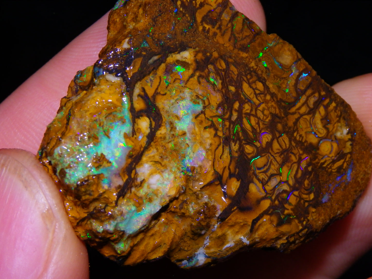 4 Nice Rough/sliced Koroit Opals 429cts Queensland Australia Blue/Green Fires/Patterns